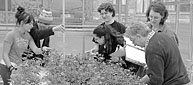 People looking at plants in a greenhouse