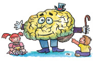 brain