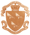 Early version of the coat of arms