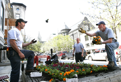 Planting flowers.