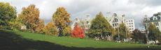 Lower campus view.