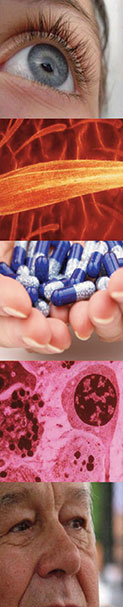 Photo montage of human face detail, flowers, pill, microscope images