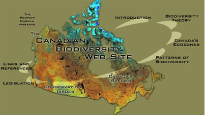 biodiversity website