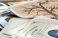 Genealogical tree