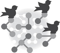Birds / science illustration