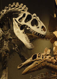 Dinosaurs