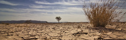 Reporter, water