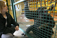 Photo of Arryn Ketter and a chimp